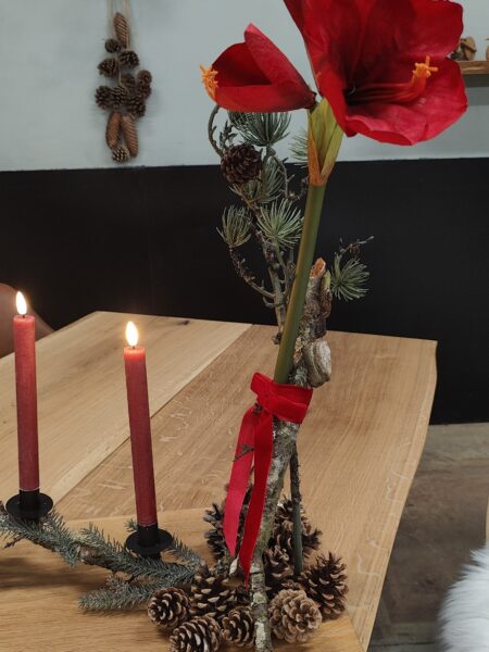 Advents gren med Amaryllis - Image 3
