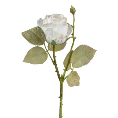 Vintage rose hvid