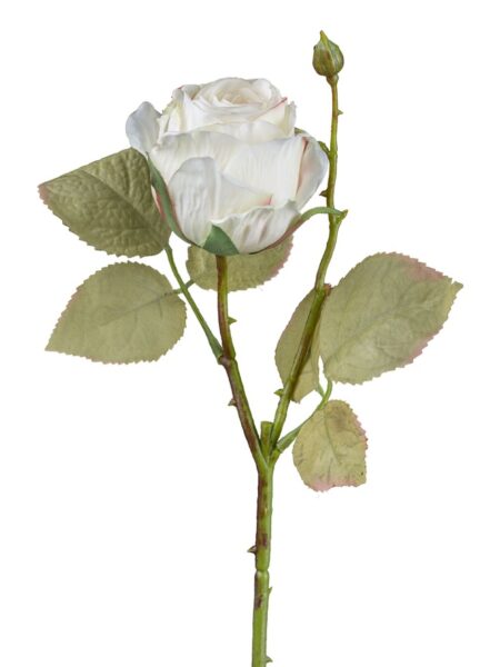 Vintage rose hvid