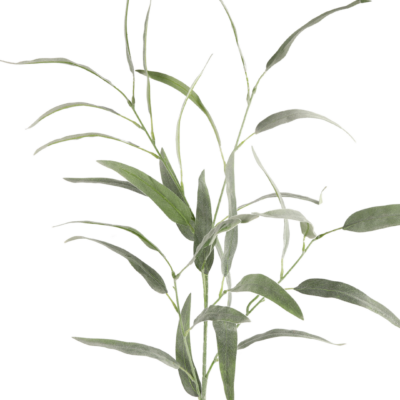 Gren med blade - Støvet grøn - H 105 cm