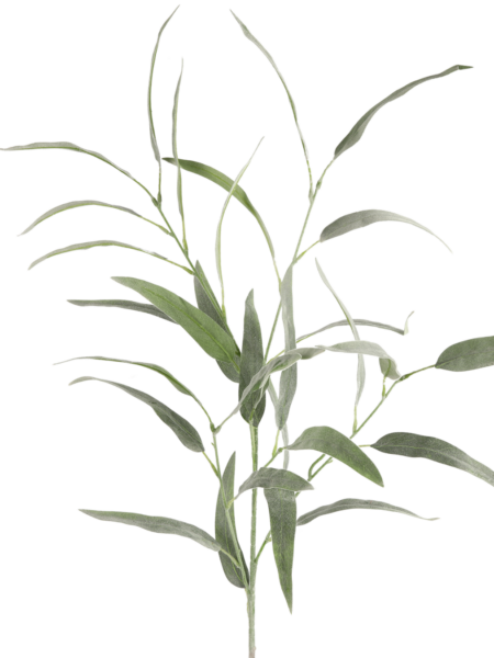 Gren med blade - Støvet grøn - H 105 cm