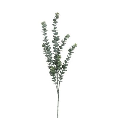 Eucalyptus gren 105 cm