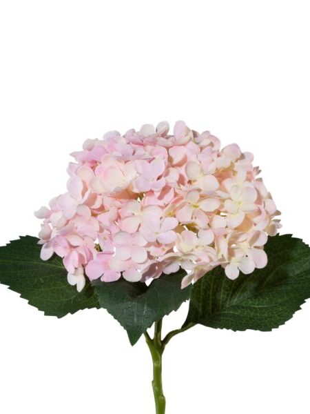 Hortensia rosa 53 cm