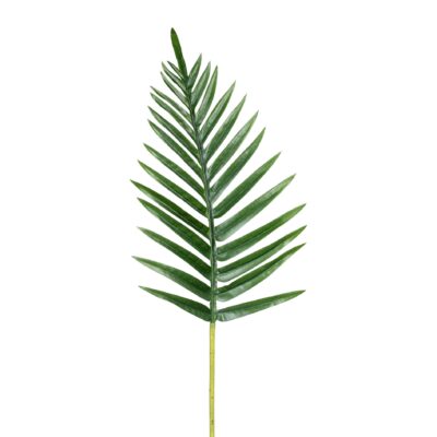 Palmeblad