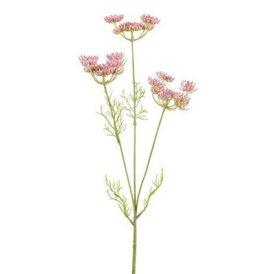 Skærmblomst rosa 50 cm
