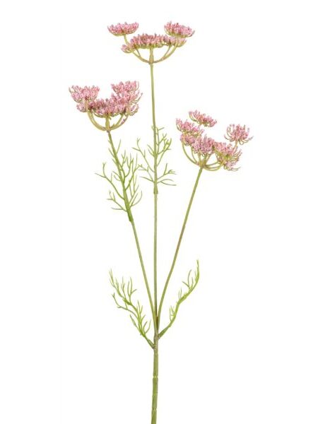 Skærmblomst rosa 50 cm