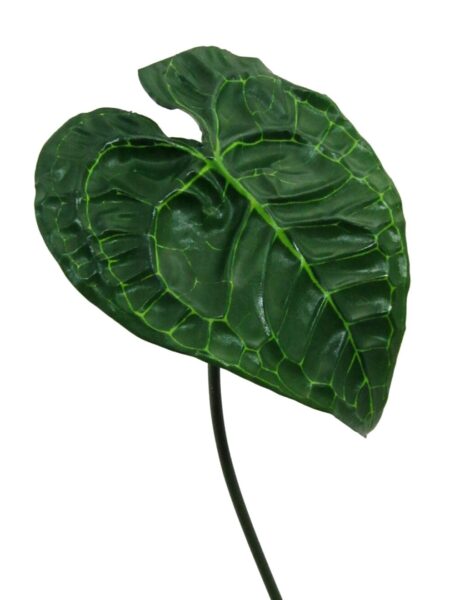 anthuruim blad h74 cm